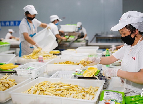食品级午夜亚洲电影APP生产厂家